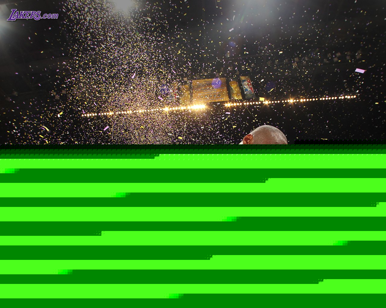 的导向作用 的导向作用