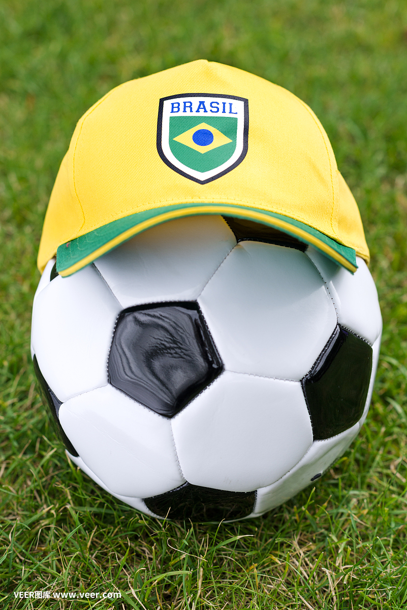 家人的互动 家人的互动