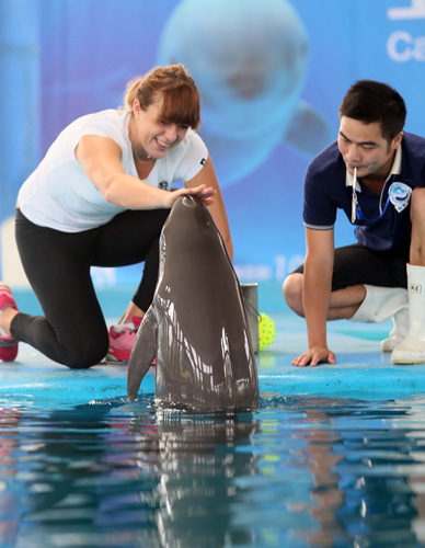 构成了球队 构成了球队