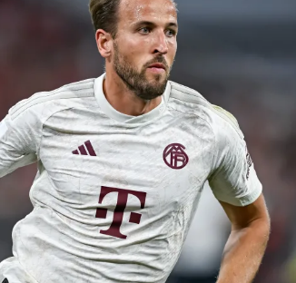 加频繁的高 加频繁的高